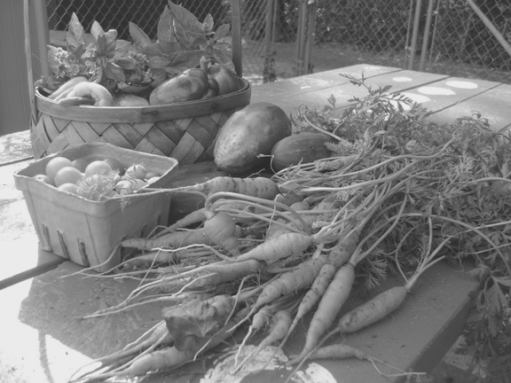 Final Harvest 2009 for website