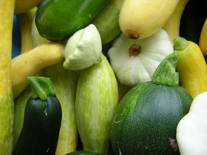 3 Squash 0704