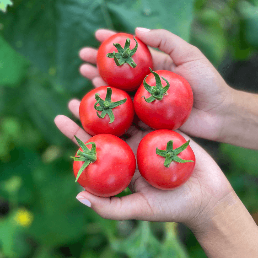 From Philanthropy Work to Growing Giant Gourds The Beauty Blooms Farm
